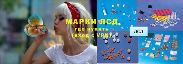 PSILOCYBIN Гусь-Хрустальный