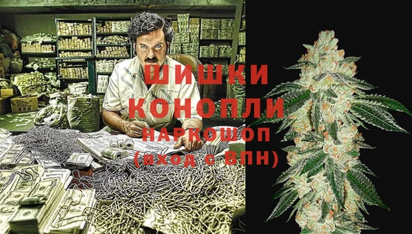 PSILOCYBIN Гусь-Хрустальный