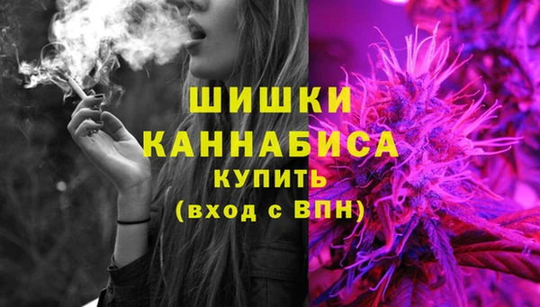 СК Гусев