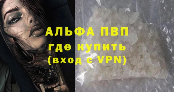 СК Гусев