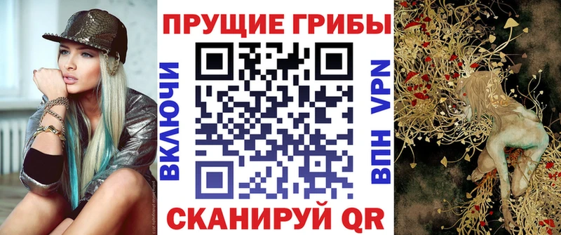 Галлюциногенные грибы Psilocybe  Меленки 